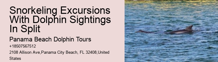 Rudee Dolphin Tours Reviews