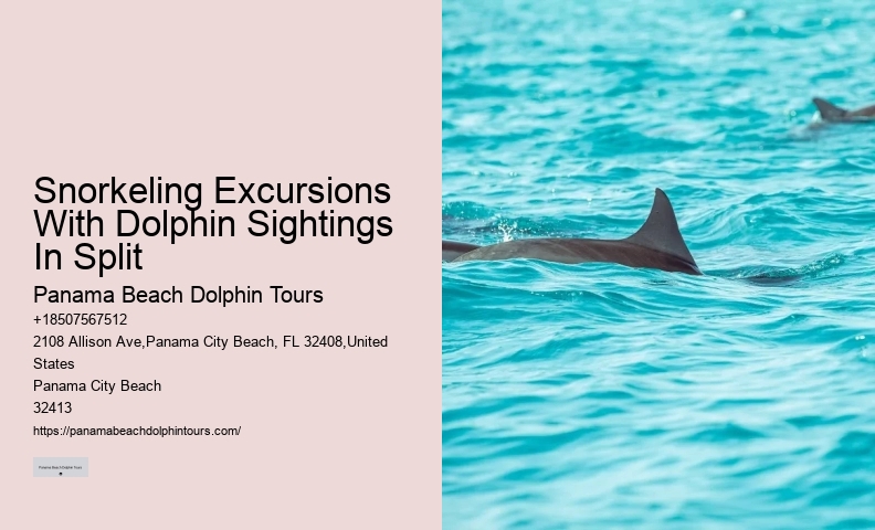 Are there any discounts available for group bookings on dolphin tours in Panama City Beach
