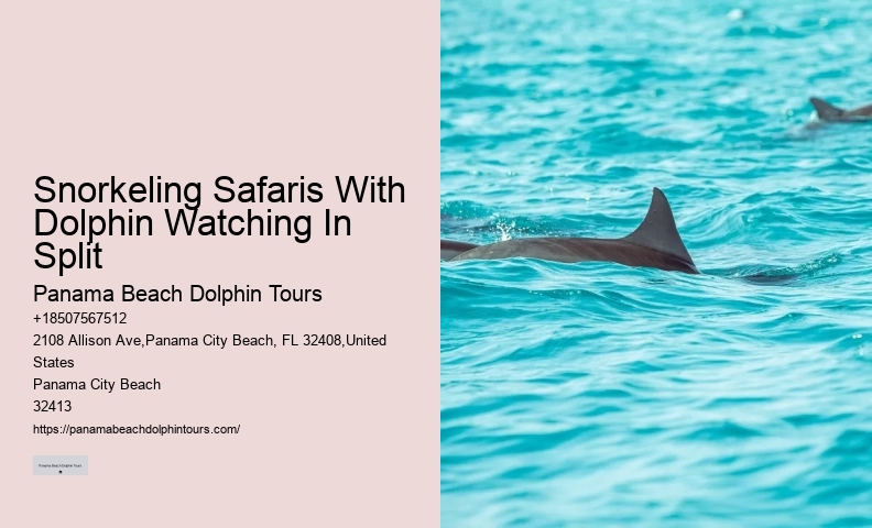 Diving With Dolphins