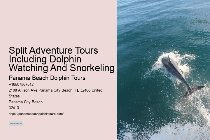 Best Excursion Panama City Beach
