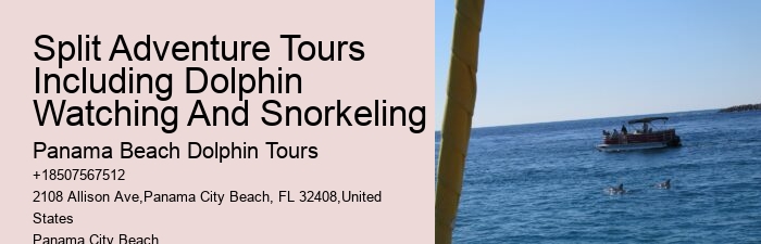 What type of dolphin species might we encounter on the tour