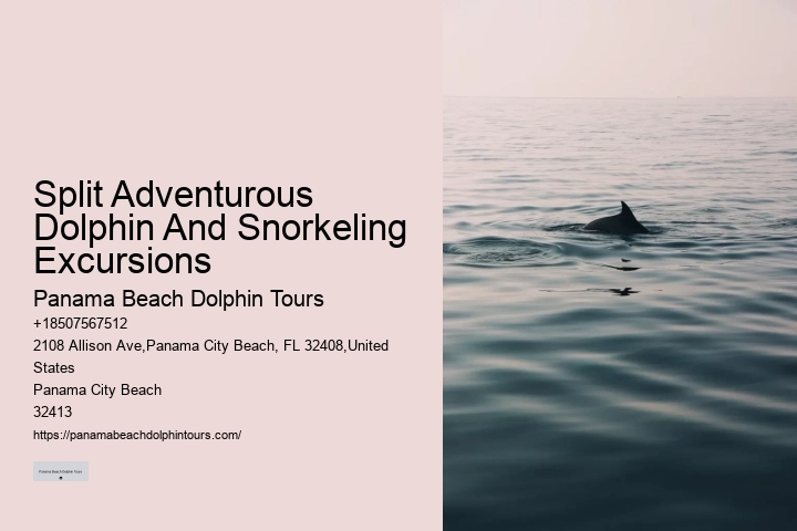 Panama City Beach dolphin discovery cruises