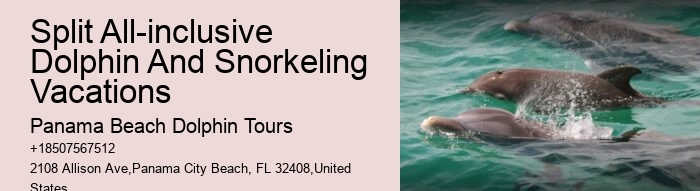 Individual Dolphin Discovery and Snorkeling