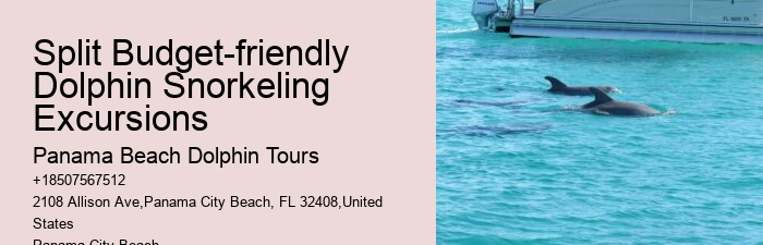 Split Guided Snorkeling And Dolphin Watching Tours
