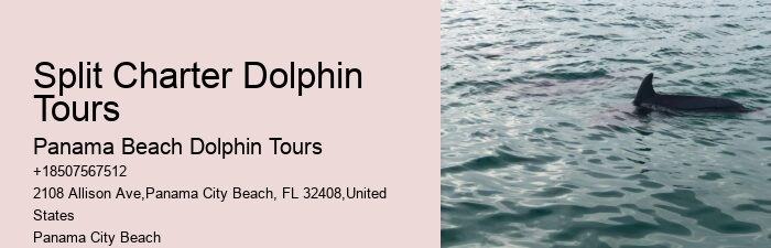 Airboat Tours Panama City Beach
