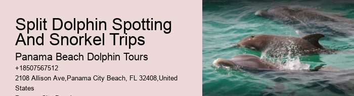Panama City Beach dolphin expedition cruises