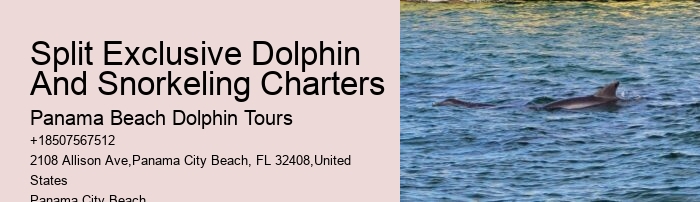 Best Sunset Dolphin Cruise Panama City Beach