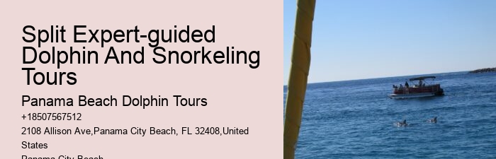 Panama Beach Dolphin Tours Panama City Beach