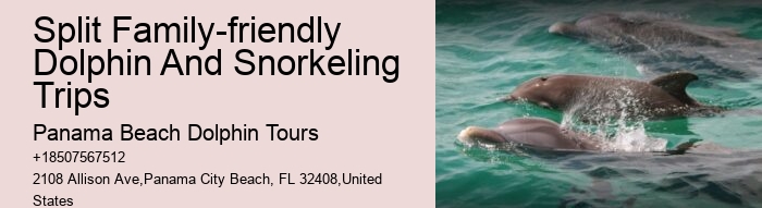 Split Luxury Snorkeling And Dolphin Charters