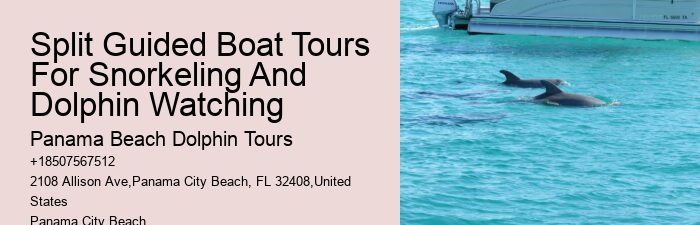 Split Catamaran Tours For Dolphin Watching And Snorkeling