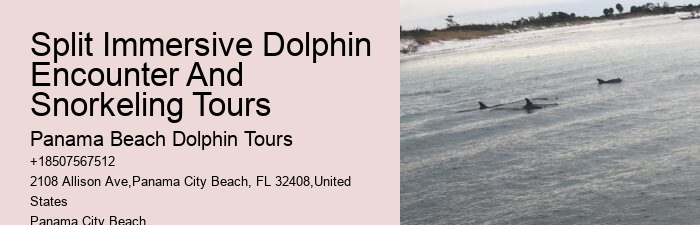 Panama City Beach dolphin boat trips