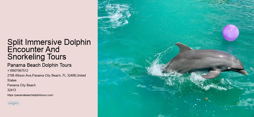 Are Dolphins Very Aggressive
