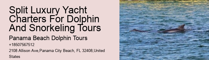 Split Thrilling Dolphin And Snorkeling Charters