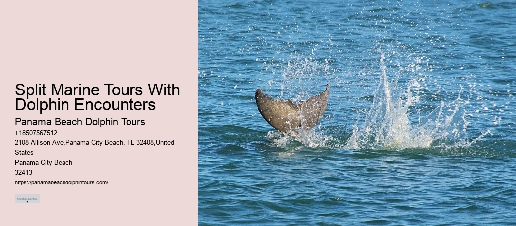 Port Aransas Dolphin Tours