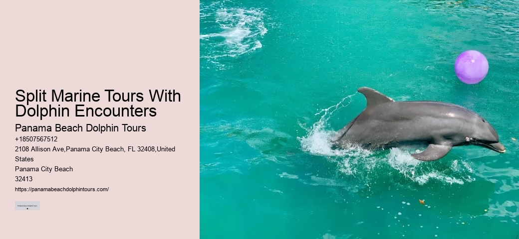 Split Boat Tours With Dolphin Watching