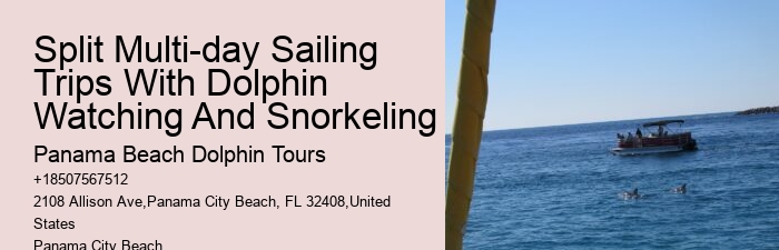 Dolphin Boat Trips PCB
