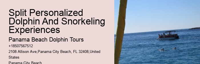 Split Charter Dolphin And Snorkeling Tours