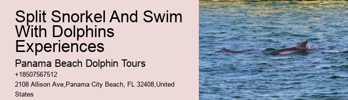 Split Family-friendly Dolphin And Snorkeling Tours