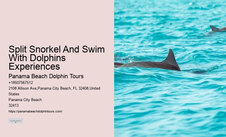 Can I request a specific time for my dolphin tour