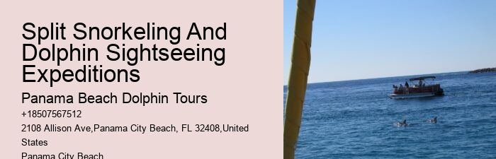 Panama City Beach dolphin watching voyages