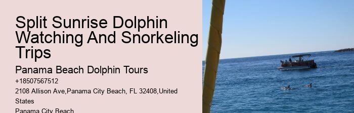 Sweet Sunsets And Dolphin Tours