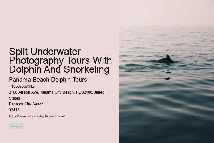 Are Panama City Beach dolphin tours environmentally friendly