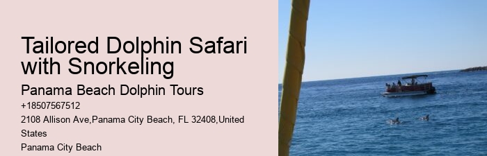 Dolphin Tours Redington Beach Fl