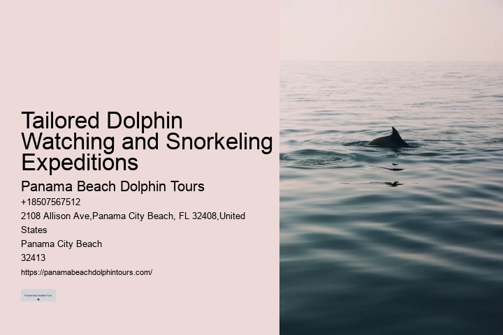 Panama City Beach dolphin exploration voyages