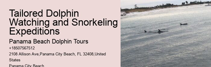 Personalized Dolphin Watching and Snorkeling Trips