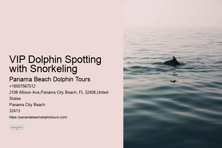 Jet Boat Dolphin Tours