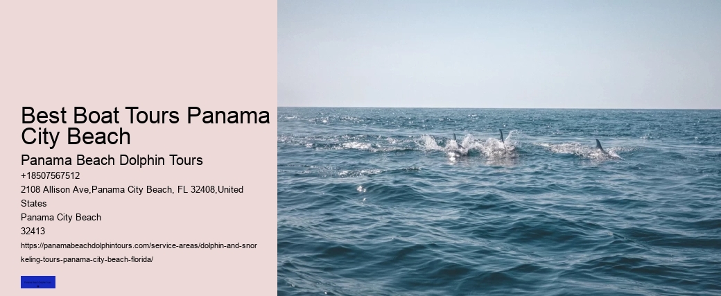Best Boat Tours Panama City Beach