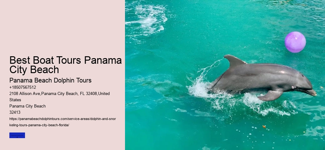 Dolphin Tours Panama City Beach Prices