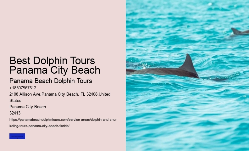 How Much Does It Cost To Swim With Dolphins In Florida