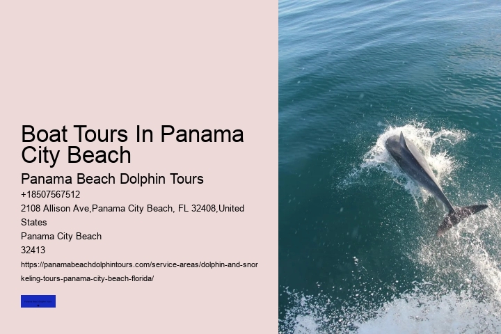 How Do You Spot Dolphins On The Beach