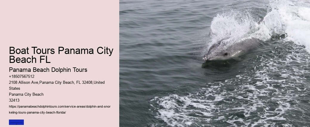 Marine Wildlife