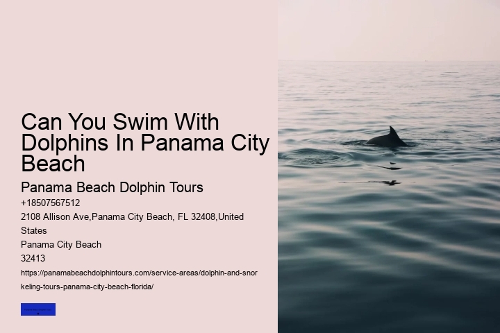What Park InFlorida Can You Swim With The Dolphins
