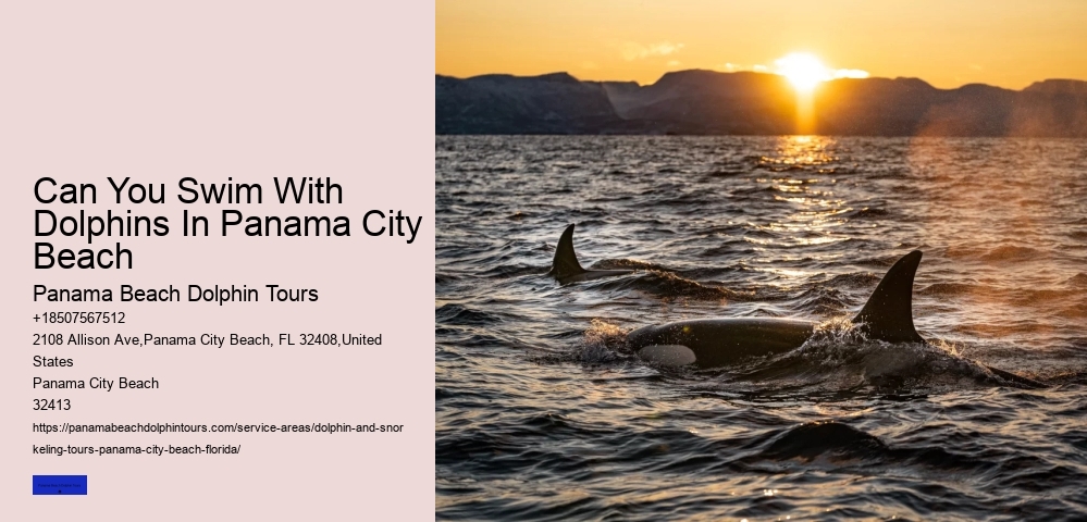 How Ethical Are Dolphin Shows