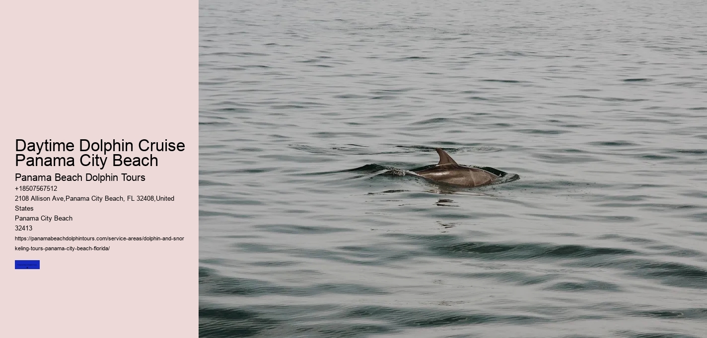 Daytime Dolphin Cruise Panama City Beach