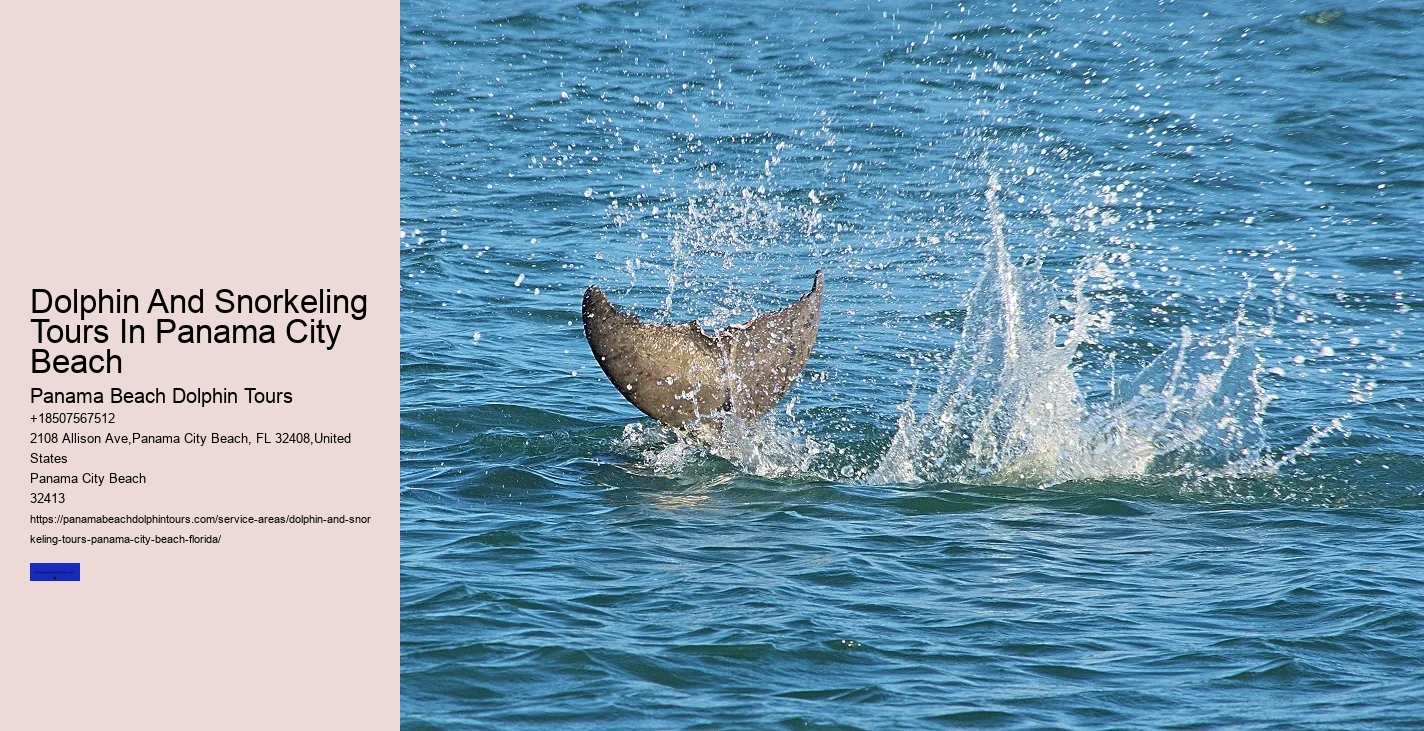 Swimming With Dolphins Is Not Safe For Your Family Nor The Dolphins
