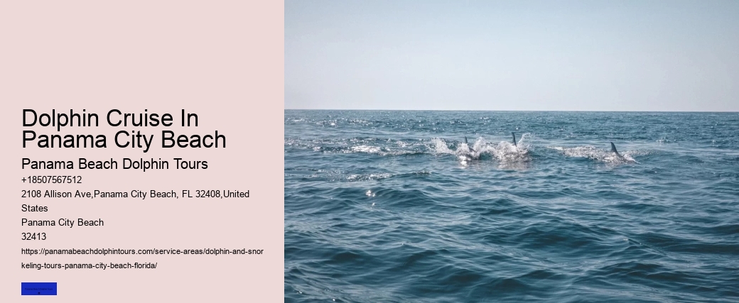 The Risks Of Swimming With Dolphins In The Wild