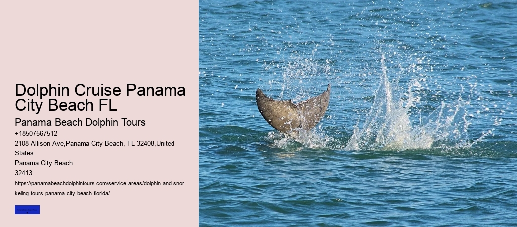 Dolphin Cruise Panama City Beach FL