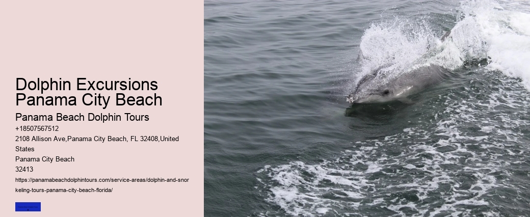 Private Dolphin Cruise Panama City Beach
