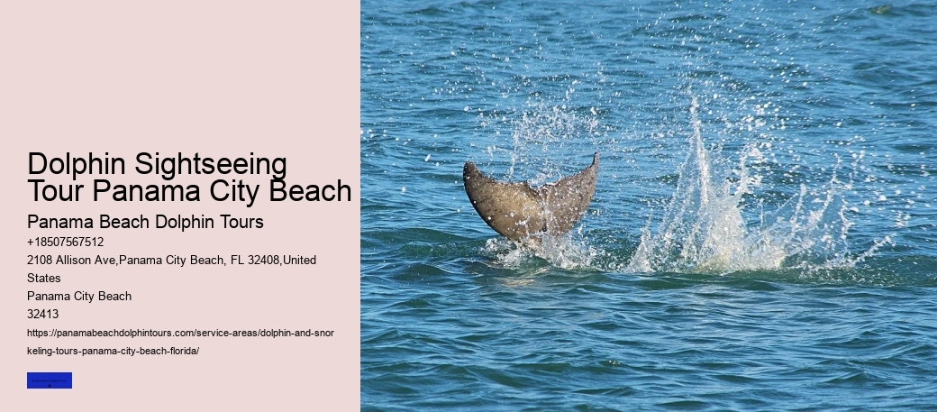 Dolphin Sightseeing Tour Panama City Beach