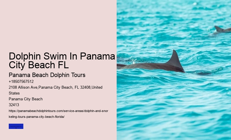 Panama City Beach Florida Dolphin Tours