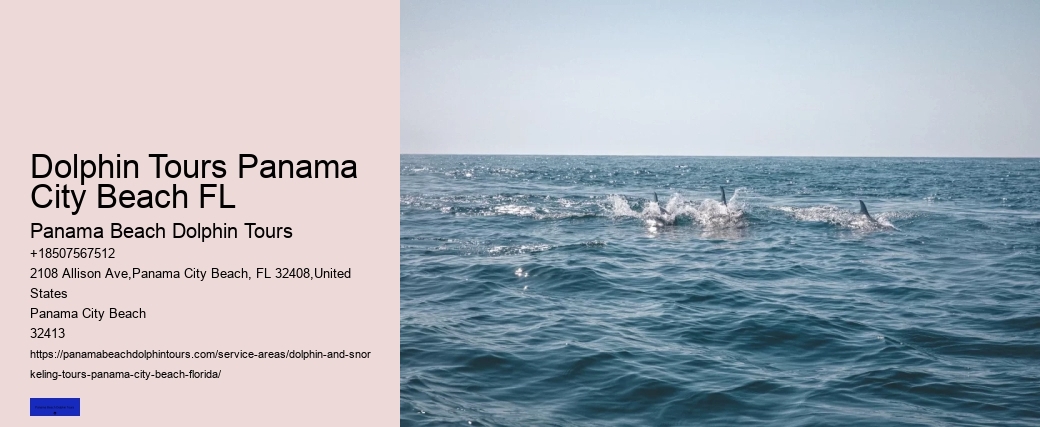 Panama City Beach Dolphin Tours & More Photos