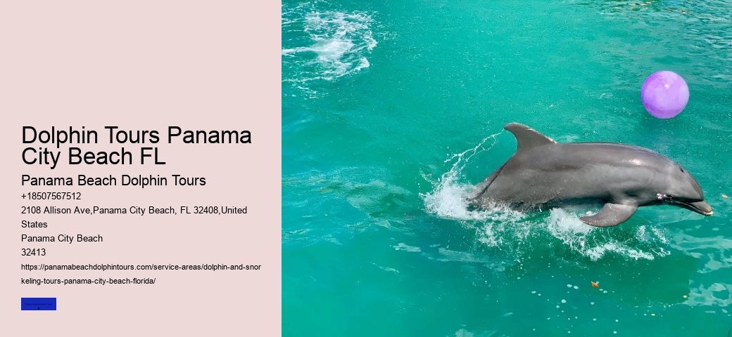Dolphin Sightseeing