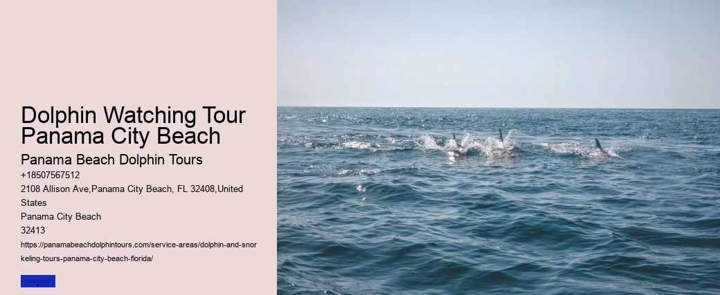 Dolphin Watching Tour Panama City Beach