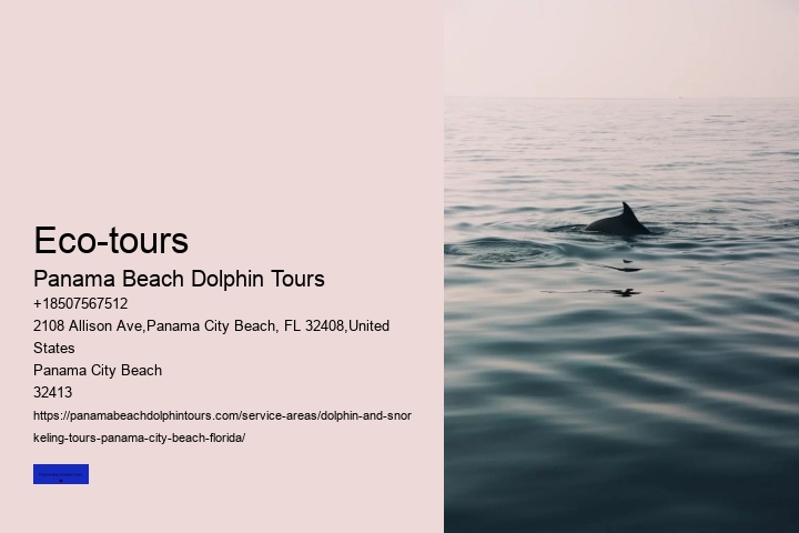 Do Dolphins Swim Close To Shore At Night