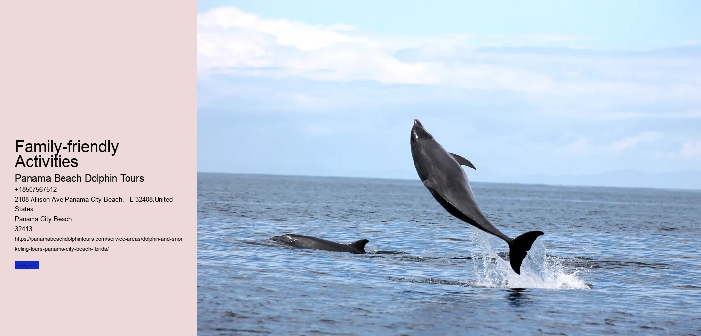 Panama City Beach Dolphin Cruise