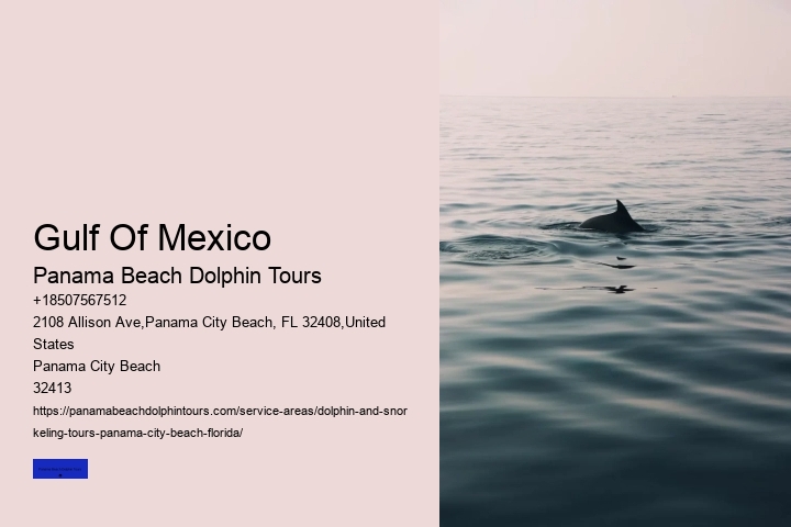 The Ugly Truth About Dolphin Shows